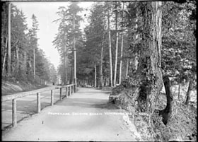 19011 thumbnail